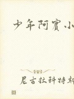 少年阿宾小说