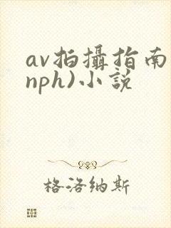 av拍摄指南(nph)小说