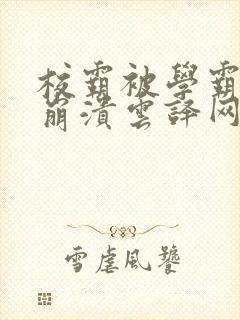 校霸被学霸玩到崩溃云译网