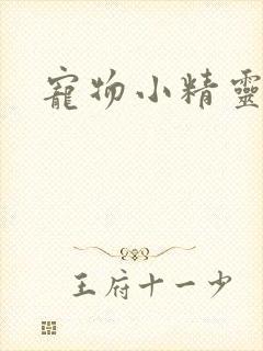 宠物小精灵漫画封面
