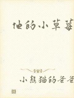 他的小草莓