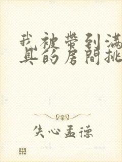 我被带到满是玩具的房间挑调游戏