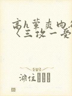 高h荤爽肉欲文〈三攻一受