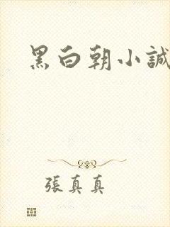 黑白朝小诚