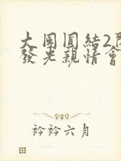 大团圆结2闪闪发光亲情会