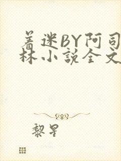 着迷BY阿司匹林小说全文免费阅读