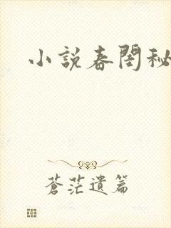 小说春闺秘史封面