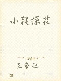 小段探花