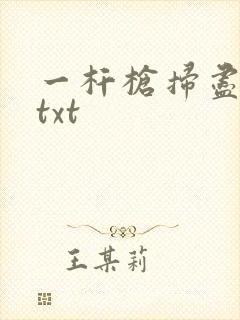 一杆枪扫尽全家txt
