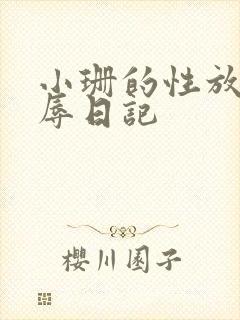 小珊的性放荡羞辱日记封面