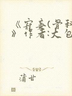 《宠妾(骨科)》作者:大包子