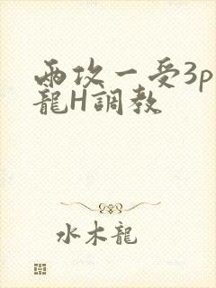 两攻一受3p双龙H调教