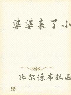 婆婆来了小说