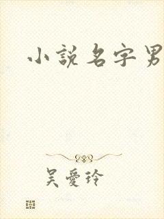 小说名字男生