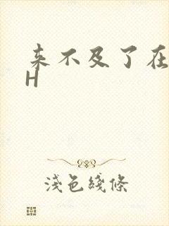 来不及了在车CH