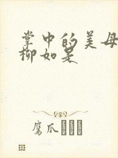 掌中的美母版主柳如是封面