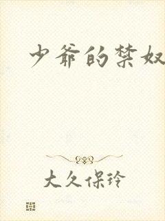 少爷的禁奴