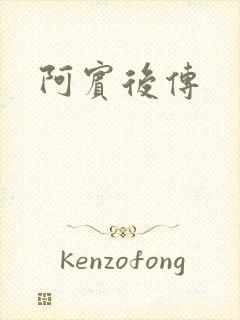 阿宾后传