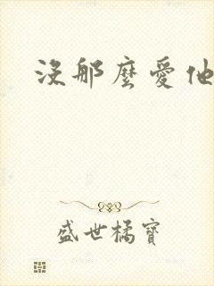 没那么爱他封面
