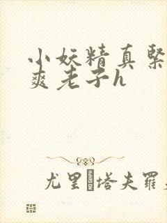 小妖精真紧h嘶爽老子h封面