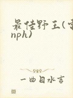 最佳野王(电竞nph)