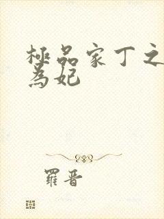 极品家丁之册母为妃