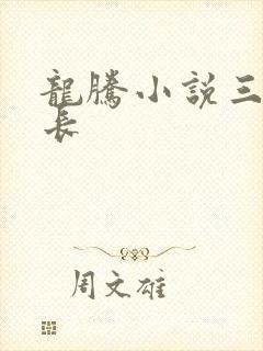 龙腾小说三宝局长