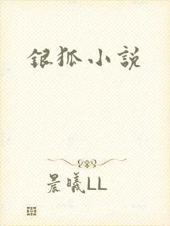 银狐小说