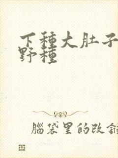 下种大肚子怀孕野种封面
