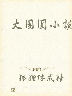 大团圆小说