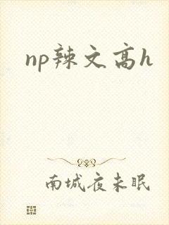 np辣文高h