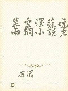 慕云泽苏晚晴夏雨桐小说免费阅读封面
