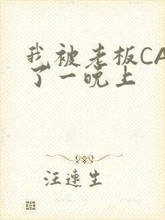 我被老板CAO了一晚上封面