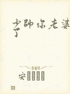少帅你老婆又跑了