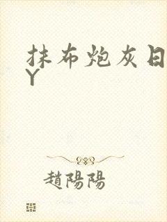 抹布炮灰日记BY封面