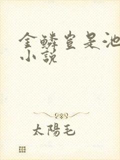 金鳞岂是池中物小说封面