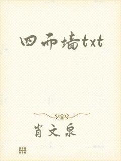 四面墙txt