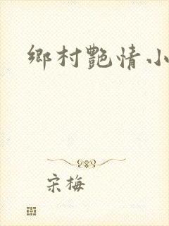 乡村艳情小说封面
