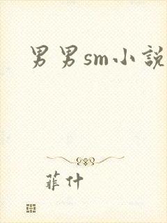 男男sm小说封面