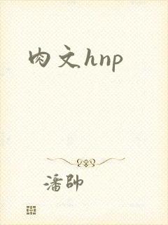 肉文hnp