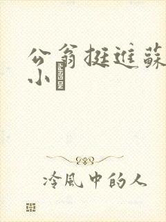 公翁挺进苏玥的小泬