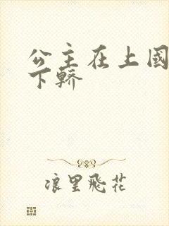 公主在上国师请下轿封面