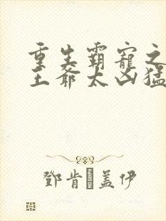 重生霸宠之摄政王爷太凶猛