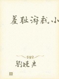 羞耻游戏小说