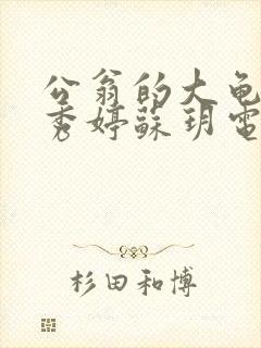 公翁的大龟挺进秀婷苏玥电影
