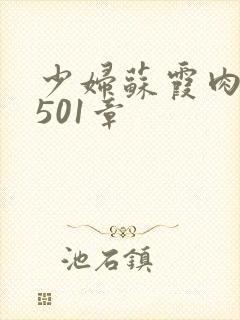 少妇苏霞肉欲第501章封面
