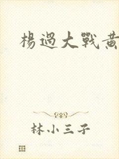 杨过大战黄蓉