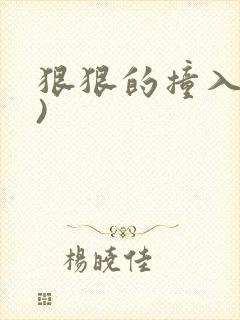 狠狠的撞入(h)