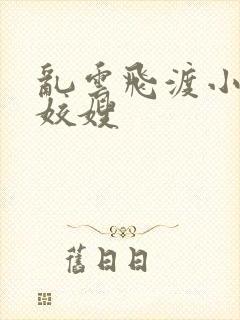 乱云飞渡小说之姣嫂