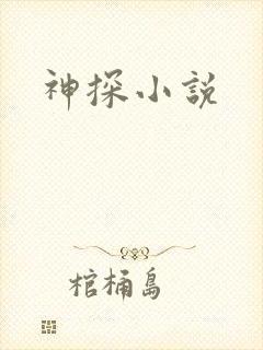 神探小说